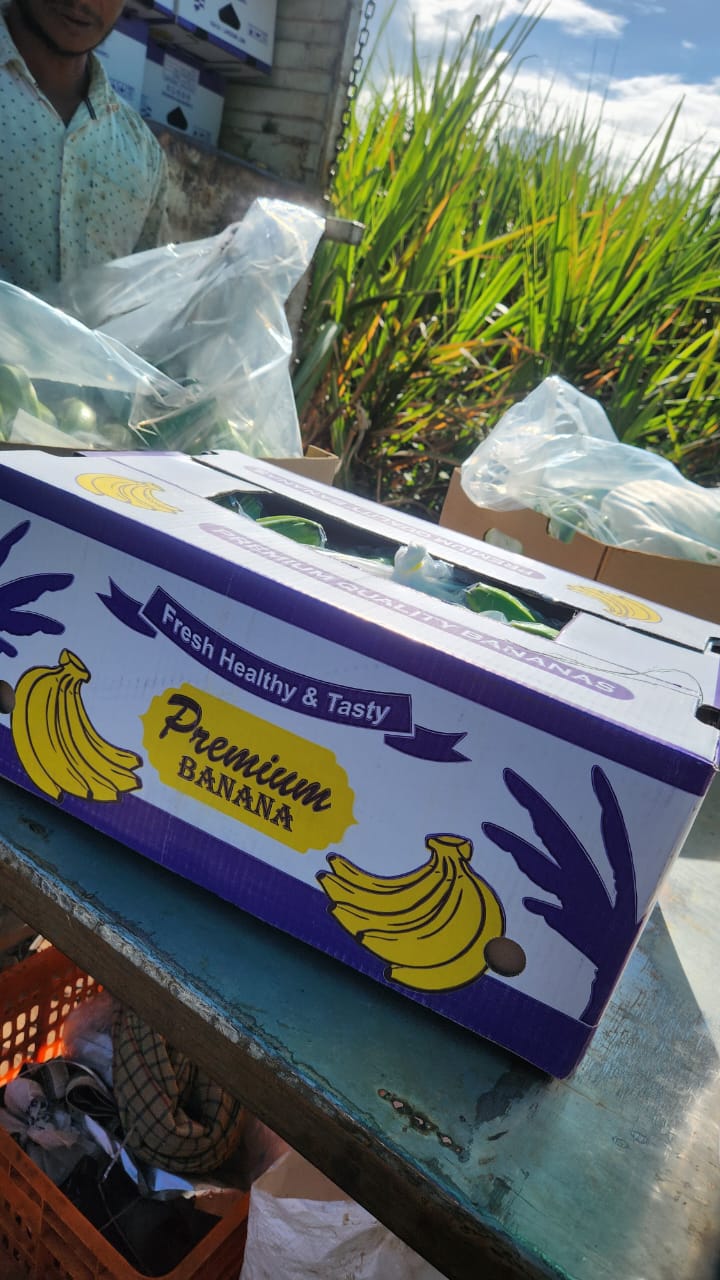 Quality Bananas